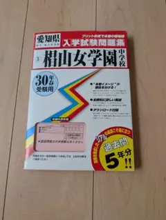 椙山女学園中学校　入学試験問題集　教英出版