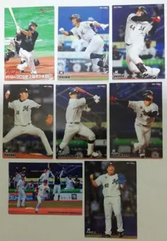 プロ野球チップスカード第一弾　千葉ロッテマリーンズ