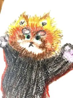 アライグマ　イラスト