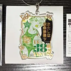 ジョジョの奇妙な冒険　空条徐倫　ワイヤーキーホルダー