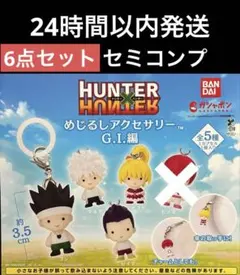 新品HUNTER×HUNTER めじるしアクセサリー G.I.編 セミコンプ