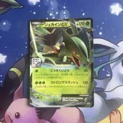 ジュカインEX P ポケモンカードジム MマスターデッキビルドBOX 対戦会参…