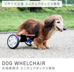 Item thumbnail for item bec4cd70-e568-463a-85f6-5bcb11c42a6d