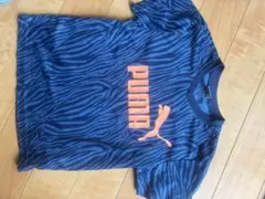 PUMA ゼブラ柄 Tシャツ 130cm