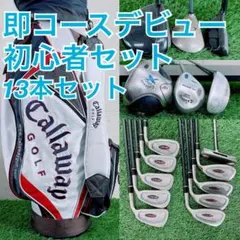 レディース右利き初心者用 パーソンズ ハーフゴルフセット W-2496