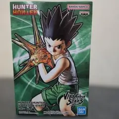 HUNTER×HUNTER VIBRATION STARS ゴン フィギュア