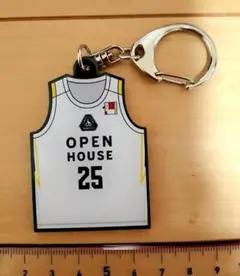 ターズースキー　アクリルキーホルダー　群馬クレインサンダーズ