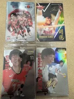 バレーウエハースカード 日本代表 まとめ売り