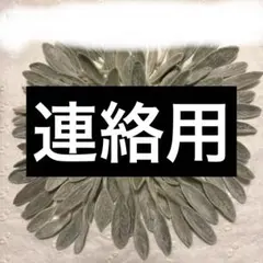 ラムズイヤードライフラワー　リーフ葉　花材素材　￼ハンドメイド　100枚　31番