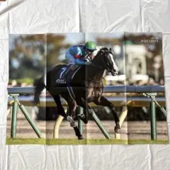 優駿 付録 イクイノックス オリジナル ポスター 2024年 1月号