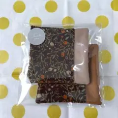 Item thumbnail for item e3919439-0930-4442-9cc6-01c7a64bc5bb