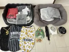 Item thumbnail for item ea2ab816-c84f-4c36-a892-d31e729a912e