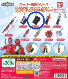 スーパー戦隊シリーズ めじるし アクセサリー マスターライセンス