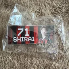 北海道コンサドーレ札幌ガチャ　#71白井陽斗選手