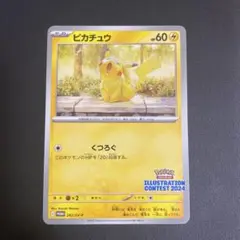 ピカチュウ イラストレーションコンテスト2024 値下げ中