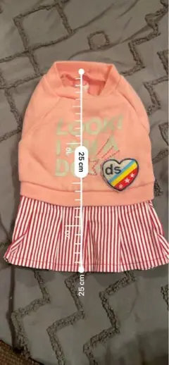 Item thumbnail for item fa1e8968-c65b-46d6-88c9-6e60ea8eb68a