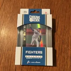プロ野球カードゲーム ドリームオーダー　スタートデッキ 日本ハムファイターズ