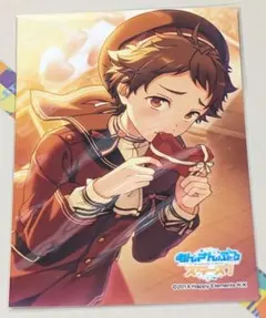 あんさんぶるスターズ！ 天満光 生ブロマイド あんスタ
