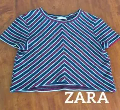 ZARA Trafaluc 半袖 クロップド丈 ニット Tシャツ S