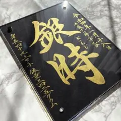 Item thumbnail for item 65fe7ad3-70cd-4c03-8e07-3680480c832c