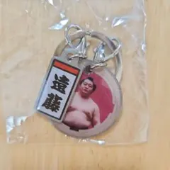 【未開封】大相撲 NEW! ダブルチャームメタルキーホ ルダー 遠藤 ガチャ