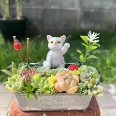 ☆速達付き☆♡そのまま飾れる♡文鳥ちゃんの多肉植物寄せ植え