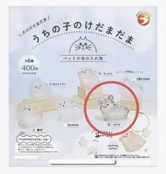 うちの子のけだまだま　犬　チワワ