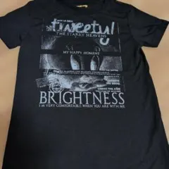 ルーニィチューンズ　トウィーテイ　Tシャツ Lサイズ ブラックのサムネイル