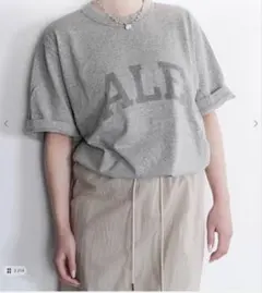 レミレリーフ NEWPORT RAGLAN TEE Tシャツ 美品 - メルカリ