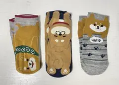 【未使用】柴犬ソックス　3点セット♪