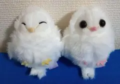 ソヌ プロフ必読様 リクエスト 4点 まとめ商品