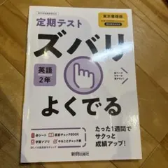 しらはまパンダ様 リクエスト 2点 まとめ商品