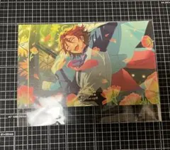 MaM 三毛縞斑 あんスタ 10周年 展示会 入場特典 ポストカード ポスカ