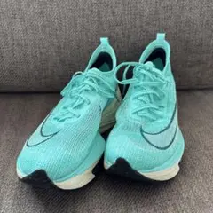 Nike アルファフライネクスト% 26cm