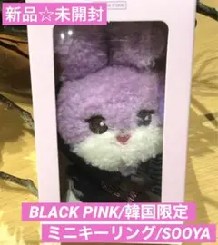 BLACKPINK キャラクター　キーリング　SOOYA ジス キーホルダー ジス キーリング SOOYA 「BLACKPINK WORLD TOUR [BORN