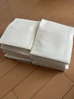 Item thumbnail for item 922b90cb-7837-4807-bdf8-6b785bbc2e9a