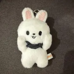 2026年最新】StrayKids skzoo マグネットキーリングの人気アイテム