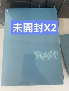 ald1 '少年BEAST' (Cementic Nest Ver.)アルバム