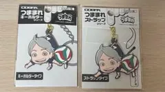 ハイキュー 菅原孝支 つままれ ストラップ キーホルダー 2種