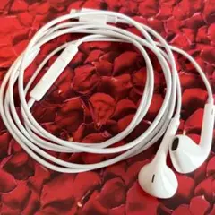 【開封済・未使用】Apple EarPods (Lightning)【純正】