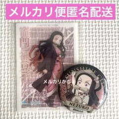 鬼滅の刃　竈門禰豆子2点セット サンシャイン シティ 缶バッジ クリアカード