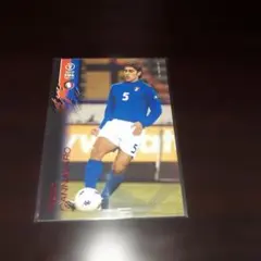 2002FIFA WORLD CUPカンナバーロカード80