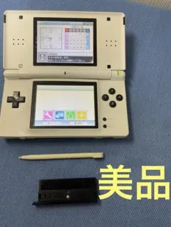 DSライト カスタム品パンダ