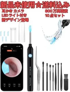 最新版耳かき カメラ ワイヤレス イヤースコープ 10点セット