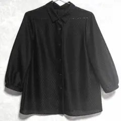 美品✨Leilian レリアン 大きいサイズ シアー レースシャツ 黒 13+のサムネイル