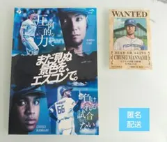 万波中正　まだ見ぬ景色を　手配書ステッカー　ワンピース　ファイターズ　非売品