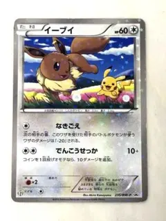 イーブイ セブンイレブン セブンイレブン限定！ポケモンカードBWスペシャルキラカード