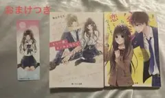 もう一度、キミのとなりで。 ハキミツみたいな恋じゃなくても 恋愛小説2冊セット