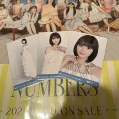 乃木坂46 遠藤さくら スペシャル衣装 47 生写真 コンプ