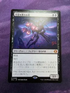 オウェン様 リクエスト 3点 まとめ商品